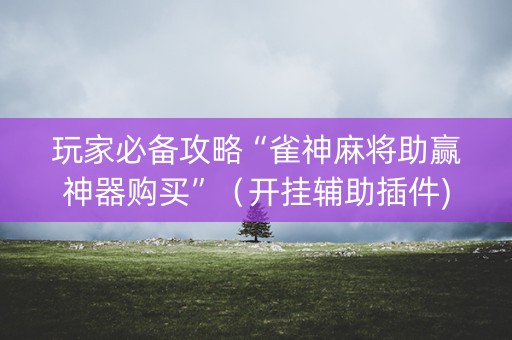 玩家必备攻略“雀神麻将助赢神器购买”（开挂辅助插件)
