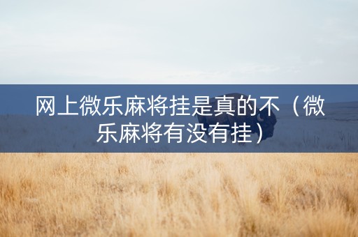 网上微乐麻将挂是真的不（微乐麻将有没有挂）