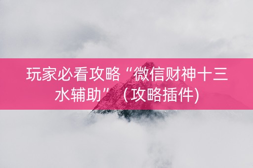 玩家必看攻略“微信财神十三水辅助”（攻略插件)