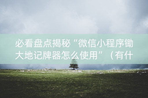 必看盘点揭秘“微信小程序锄大地记牌器怎么使用”（有什么规律)