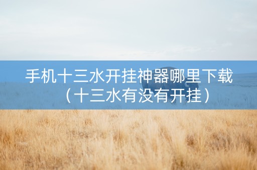 手机十三水开挂神器哪里下载（十三水有没有开挂）