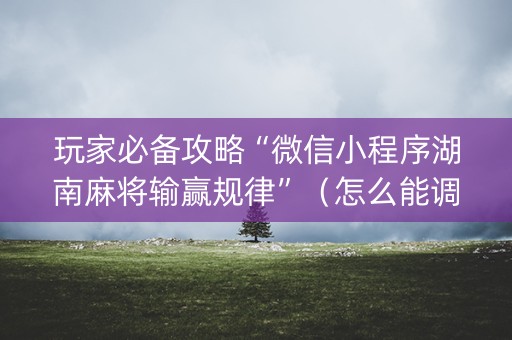 玩家必备攻略“微信小程序湖南麻将输赢规律”（怎么能调好牌)