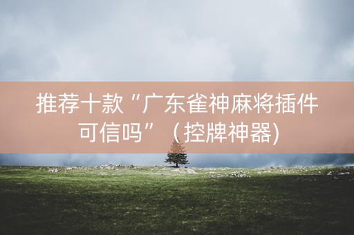 推荐十款“广东雀神麻将插件可信吗”（控牌神器)