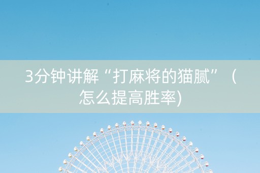 3分钟讲解“打麻将的猫腻”（怎么提高胜率)