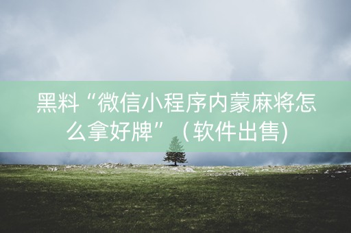黑料“微信小程序内蒙麻将怎么拿好牌”（软件出售)