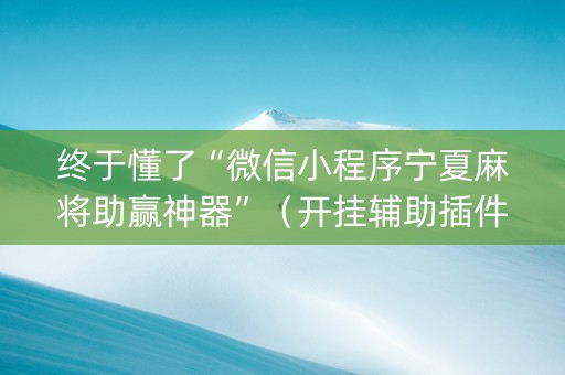 终于懂了“微信小程序宁夏麻将助赢神器”（开挂辅助插件)