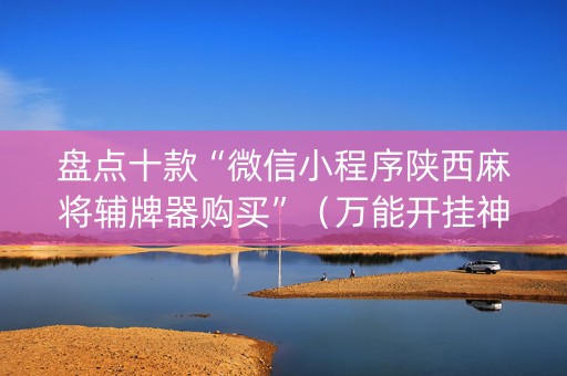 盘点十款“微信小程序陕西麻将辅牌器购买”（万能开挂神器)
