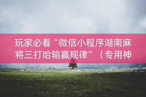 玩家必看“微信小程序湖南麻将三打哈输赢规律”（专用神器下载)