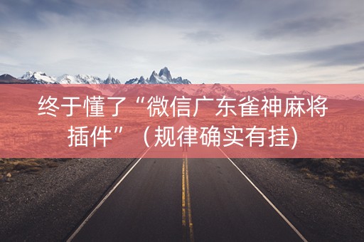 终于懂了“微信广东雀神麻将插件”（规律确实有挂)