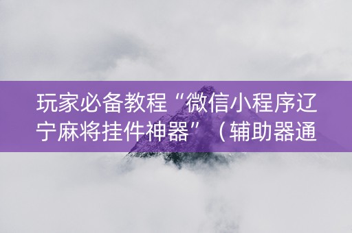玩家必备教程“微信小程序辽宁麻将挂件神器”（辅助器通用版)