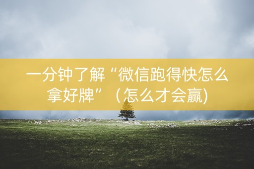 一分钟了解“微信跑得快怎么拿好牌”（怎么才会赢)