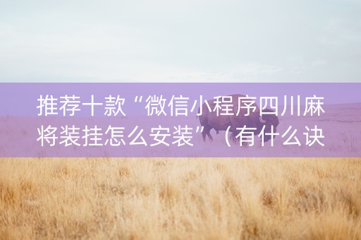 推荐十款“微信小程序四川麻将装挂怎么安装”（有什么诀窍)