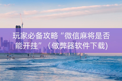 玩家必备攻略“微信麻将是否能开挂”（做弊器软件下载)