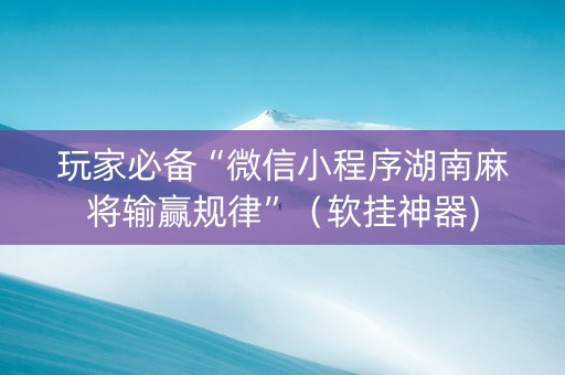 玩家必备“微信小程序湖南麻将输赢规律”（软挂神器)