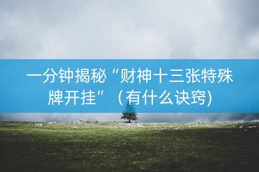一分钟揭秘“财神十三张特殊牌开挂”（有什么诀窍)