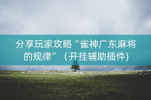 分享玩家攻略“雀神广东麻将的规律”（开挂辅助插件)