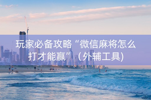 玩家必备攻略“微信麻将怎么打才能赢”（外辅工具)