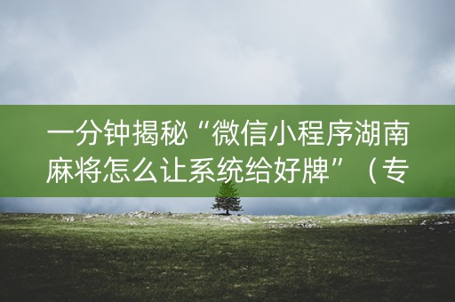 一分钟揭秘“微信小程序湖南麻将怎么让系统给好牌”（专用神器)