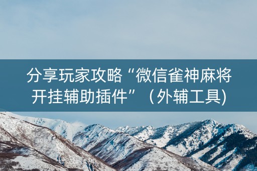 分享玩家攻略“微信雀神麻将开挂辅助插件”（外辅工具)