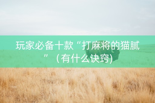 玩家必备十款“打麻将的猫腻”（有什么诀窍)
