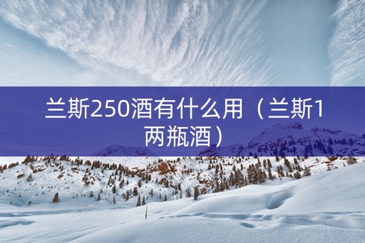 详细阅读:兰斯250酒有什么用(兰斯1两瓶酒) 兰斯250酒有什么用(兰斯1两瓶酒)
