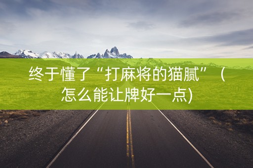 终于懂了“打麻将的猫腻”（怎么能让牌好一点)