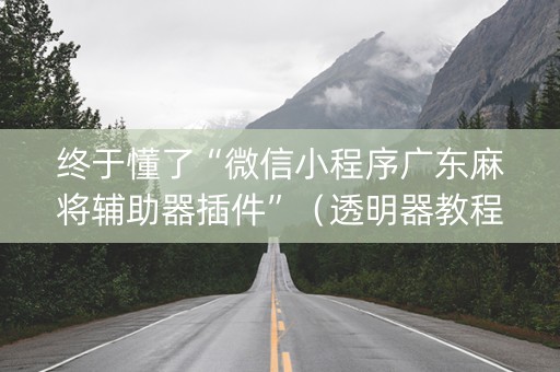 终于懂了“微信小程序广东麻将辅助器插件”（透明器教程)