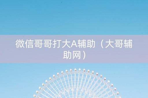 微信哥哥打大A辅助（大哥辅助网）