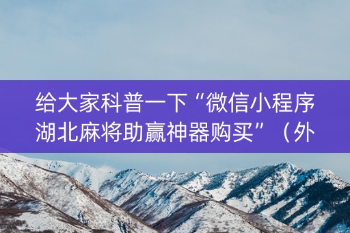 给大家科普一下“微信小程序湖北麻将助赢神器购买”（外辅工具)