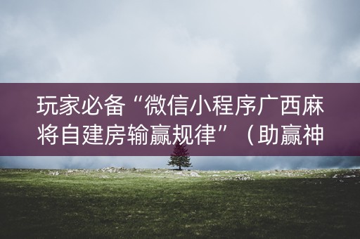 玩家必备“微信小程序广西麻将自建房输赢规律”（助赢神器购买)