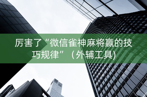 厉害了“微信雀神麻将赢的技巧规律”（外辅工具)