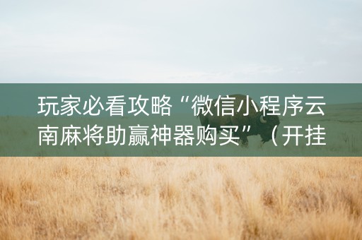 玩家必看攻略“微信小程序云南麻将助赢神器购买”（开挂神器下载)