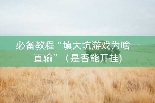 必备教程“填大坑游戏为啥一直输”（是否能开挂)