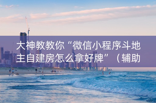 大神教教你“微信小程序斗地主自建房怎么拿好牌”（辅助器下载)