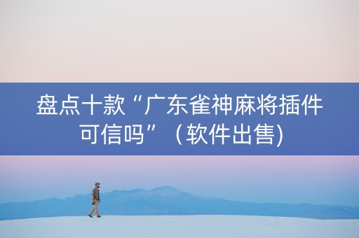 盘点十款“广东雀神麻将插件可信吗”（软件出售)