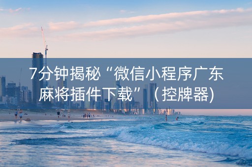 7分钟揭秘“微信小程序广东麻将插件下载”（控牌器)