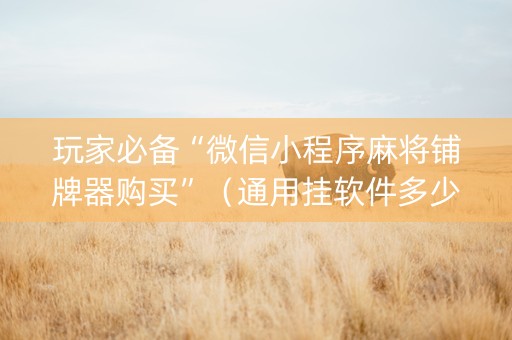 玩家必备“微信小程序麻将铺牌器购买”（通用挂软件多少钱)