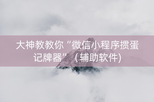 大神教教你“微信小程序掼蛋记牌器”（辅助软件)