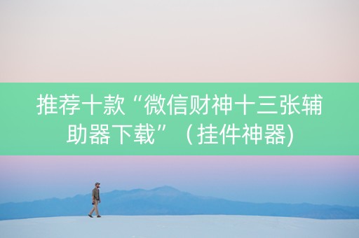 推荐十款“微信财神十三张辅助器下载”（挂件神器)