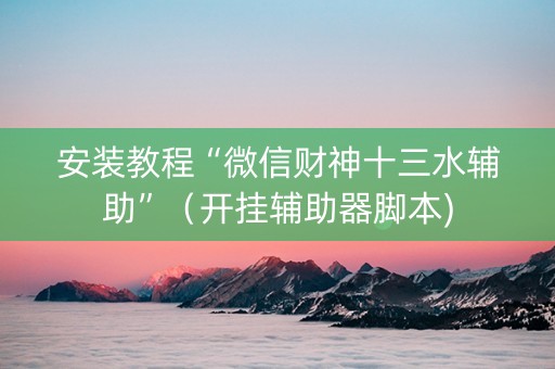 安装教程“微信财神十三水辅助”（开挂辅助器脚本)