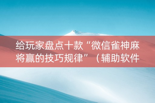 给玩家盘点十款“微信雀神麻将赢的技巧规律”（辅助软件)