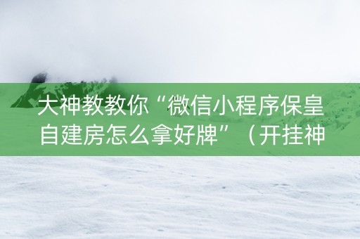 大神教教你“微信小程序保皇自建房怎么拿好牌”（开挂神器下载)