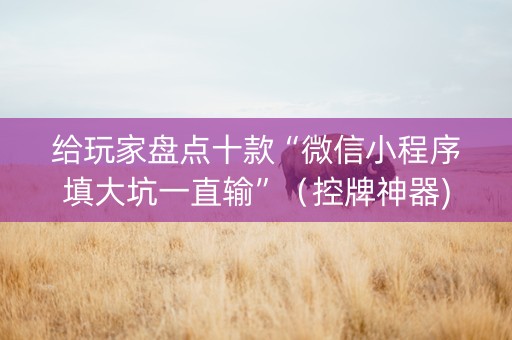 给玩家盘点十款“微信小程序填大坑一直输”（控牌神器)