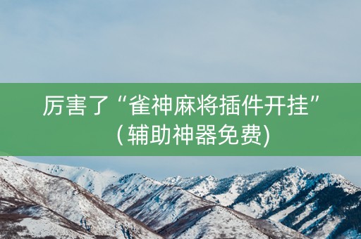 厉害了“雀神麻将插件开挂”（辅助神器免费)