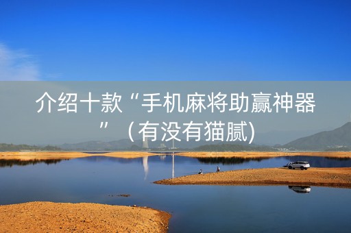 介绍十款“手机麻将助赢神器”（有没有猫腻)