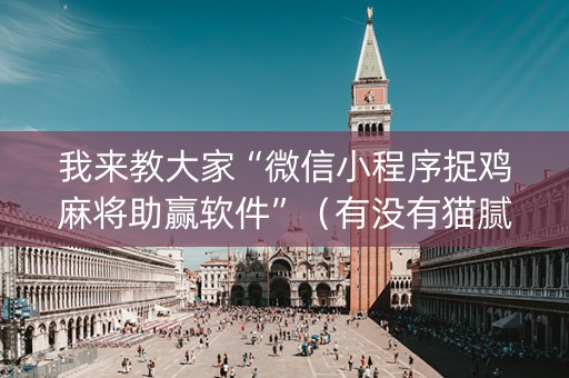 我来教大家“微信小程序捉鸡麻将助赢软件”（有没有猫腻)