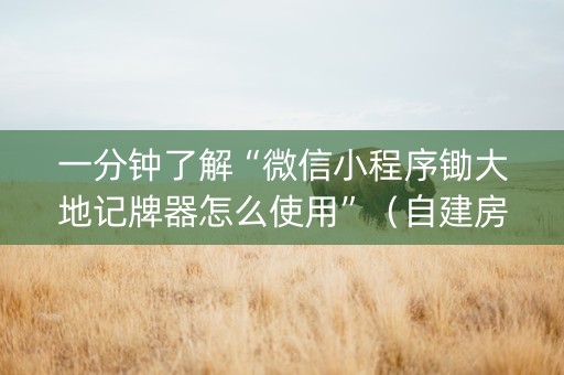 一分钟了解“微信小程序锄大地记牌器怎么使用”（自建房怎么赢)