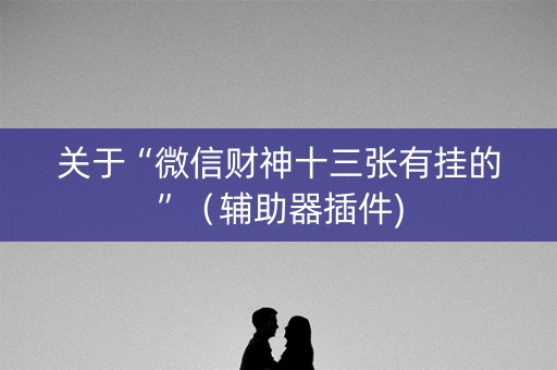 关于“微信财神十三张有挂的”（辅助器插件)