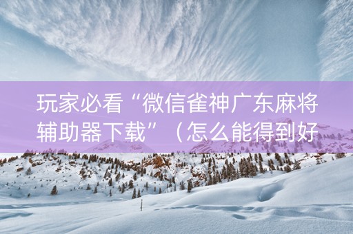 玩家必看“微信雀神广东麻将辅助器下载”（怎么能得到好牌)