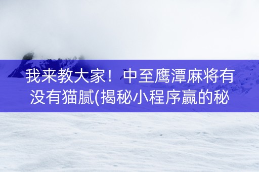 我来教大家！中至鹰潭麻将有没有猫腻(揭秘小程序赢的秘诀)